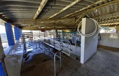 Imagem 8: FAZENDA PARA GADO E CEREAIS EM COROMANDEL