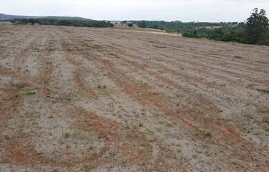 Imagem 6: FAZENDA PRÓPRIA PARA CAFÉ EM COROMANDEL
