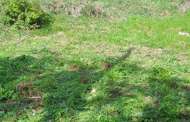 Imagem 2: TERRENO RESIDENCIAL em BELO HORIZONTE - MG, ALTO CAIÇARAS