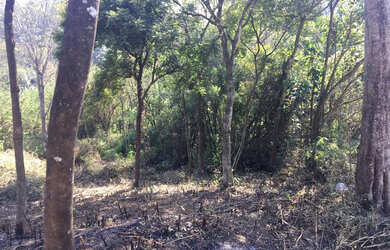 Imagem 12: TERRENO RESIDENCIAL em ATIBAIA - SP, JARDIM ESTÂNCIA BRASIL