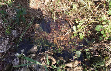 Imagem 15: TERRENO RESIDENCIAL em ATIBAIA - SP, JARDIM ESTÂNCIA BRASIL