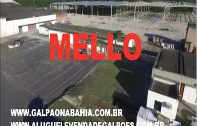 Imagem: Galpões Logísticos Industriais em Camaçari, Condomínio Fechado