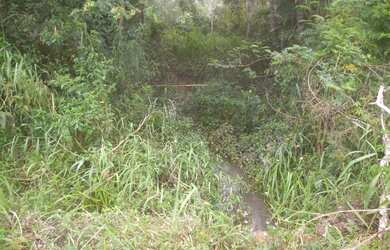 Imagem 3: Terreno à venda em Juquitiba
