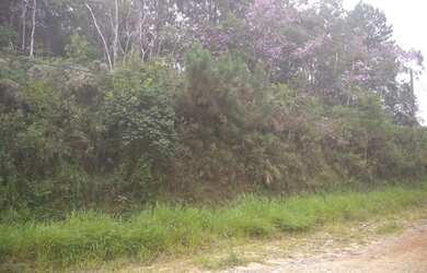 Imagem 4: Terreno à venda em Juquitiba