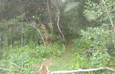 Imagem 6: Terreno à venda em Juquitiba