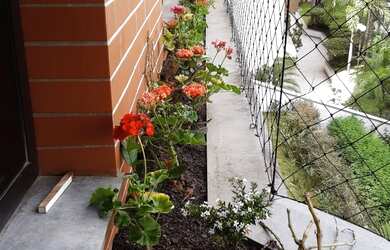 Imagem 2: Venda de Apartamento de Luxo na Vila Andrade, São Paulo-SP 3 quartos,...