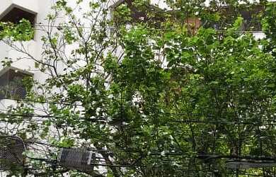 Imagem: O apartamento possui 3 Dormitórios, 1 Suíte, 2 Banheiros