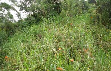 Imagem: O terreno possui 288.000m² de Área Privada e está localizado