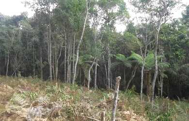 Imagem 2: TERRENO RESIDENCIAL em Juquitiba - SP, Juquitiba