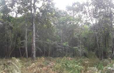 Imagem 3: TERRENO RESIDENCIAL em Juquitiba - SP, Juquitiba