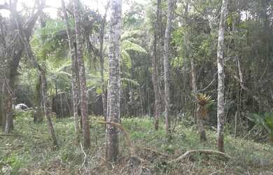 Imagem 6: TERRENO RESIDENCIAL em Juquitiba - SP, Juquitiba