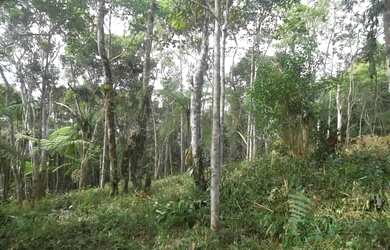 Imagem 12: TERRENO RESIDENCIAL em Juquitiba - SP, Juquitiba