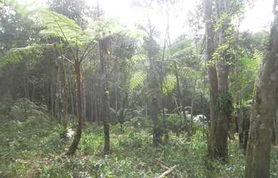 Imagem 8: TERRENO RESIDENCIAL em Juquitiba - SP, Juquitiba