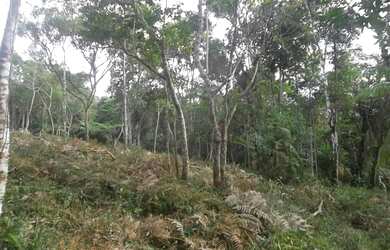 Imagem 9: TERRENO RESIDENCIAL em Juquitiba - SP, Juquitiba