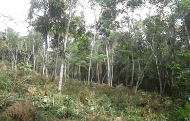 Imagem 10: TERRENO RESIDENCIAL em Juquitiba - SP, Juquitiba