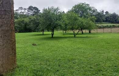 Imagem 10: 5 dormitórios na Estrada Do Ouro Fino