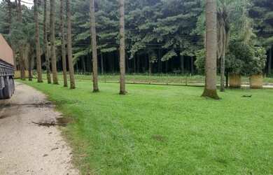 Imagem 8: 5 dormitórios na Estrada Do Ouro Fino