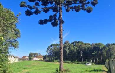 Imagem: O terreno possui 26.078m² de Área e está localizado em Rondinha