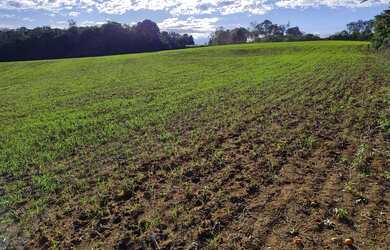 Imagem: O terreno possui 34.613m² de Área e está localizado em São