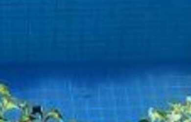 Imagem: A casa possui 3 Dormitórios, 3 Suítes, 5 Banheiros, 3 Vagas