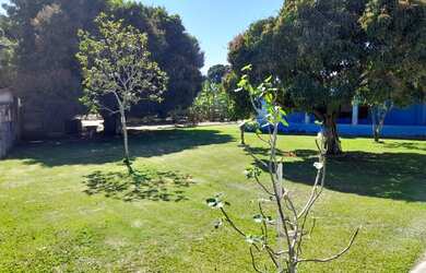 Imagem 1: 1733M² de Área Total. 1.733m² de Área