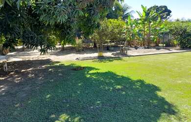 Imagem 13: 1733M² de Área Total. 1.733m² de Área