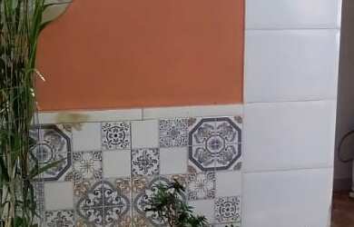 Imagem 13: 3 dormitórios na Rua Alecrins