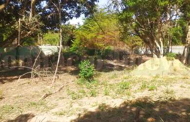 Imagem 16: na Rua Guandu. 