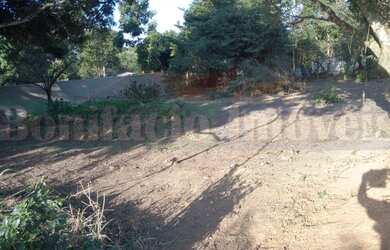 Imagem 7: na Rua Guandu. 