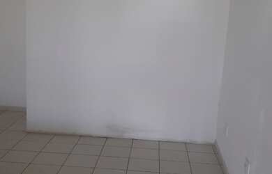 Imagem 3: PONTO RESIDENCIAL em SÃO LUÍS - MA, VILA VICENTE FIALHO