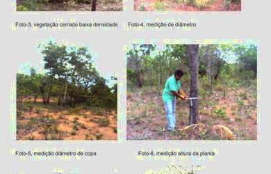 Imagem 1: FAZENDA RESIDENCIAL em MIRADOR - MA, PARQUE ESTADUAL DO MIRADOR