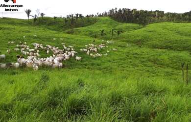 Imagem 10: FAZENDA RURAL em SANTA LUZIA - MA, SANTA LUZIA