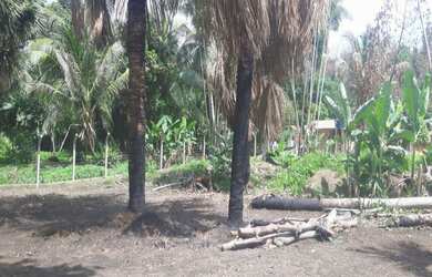 Imagem: O terreno possui 2.000m² de Área Privada e está localizado