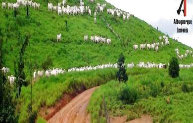 Imagem: A fazenda possui 20 Banheiros, 14.936.050m² de Área e está