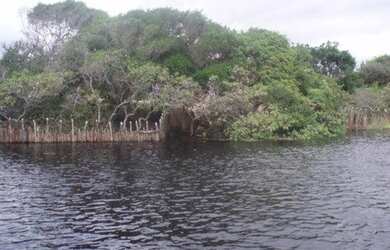 Imagem 2: FAZENDA RESIDENCIAL em PRIMEIRA CRUZ - MA, PRIMEIRA CRUZ