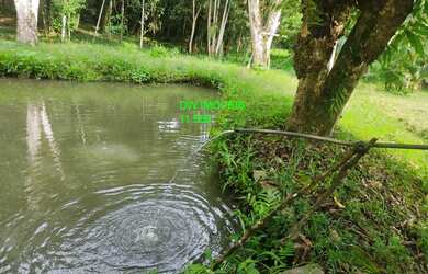 Imagem: A chácara possui 4 Dormitórios, 1 Banheiro, 5.600m² de Área