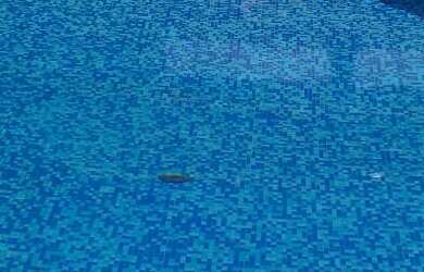 Imagem: A casa possui 4 Dormitórios, 1 Suíte, 4 Banheiros, 7 Vagas