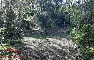 Imagem: O terreno possui 40.320m² de Área Privada e está localizado