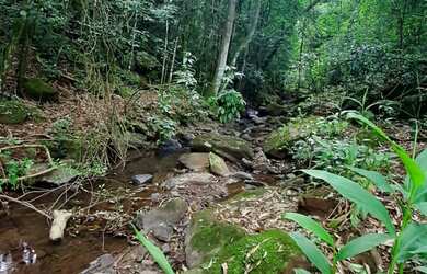 Imagem: O terreno possui 18.000m² de Área Privada e está localizado