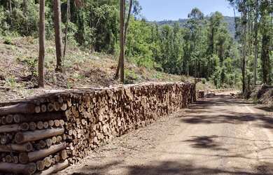 Imagem: O terreno possui 21.000m² de Área Privada e está localizado