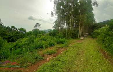 Imagem: O terreno possui 30.000m² de Área Privada e está localizado