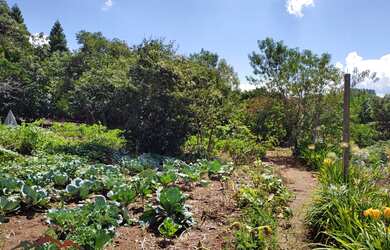 Imagem: O terreno possui 1.845m² de Área Privada e está localizado