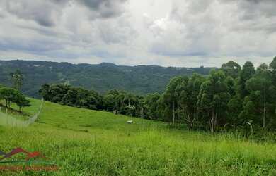 Imagem: O terreno possui 30.000m² de Área Privada e está localizado