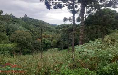 Imagem: O terreno possui 1.877m² de Área Privada e está localizado