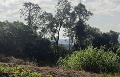 Imagem: O terreno possui 20.000m² de Área Privada e está localizado