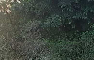 Imagem: O terreno possui 370m² de Área Privada e está localizado