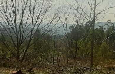 Imagem: O terreno possui 20.000m² de Área Privada e está localizado