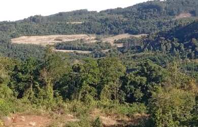 Imagem: O terreno possui 25.000m² de Área Privada e está localizado