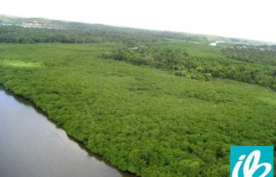 Imagem 1: VENDA ou PERMUTA ,FAZENDA / ILHA 110 Ha. a 15 KM de NAZARÉ das Farinhas....