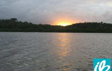 Imagem 3: VENDA ou PERMUTA ,FAZENDA / ILHA 110 Ha. a 15 KM de NAZARÉ das Farinhas....
